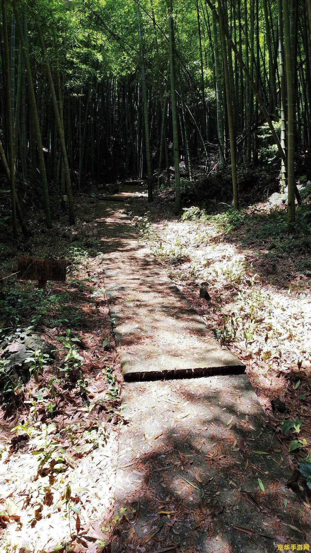 原神深林书在深林里寻花圃 原神深林书：秘境寻芳，解锁花圃之谜