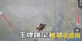 和平精英王牌跳伞攻略 和平精英：王牌跳伞策略深度解析