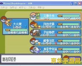 口袋妖怪绿宝石493 口袋妖怪绿宝石493：探索无限可能的精灵世界