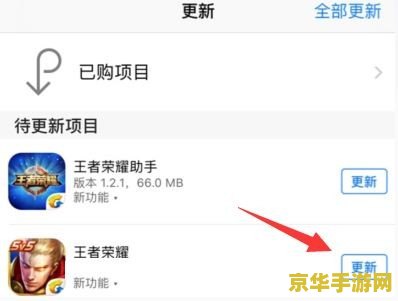 王者荣耀电脑版ios登录失败怎么办 王者荣耀电脑版iOS登录失败解决方案