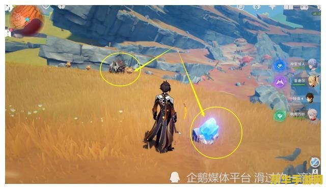 原神寻找供奉纪念石钱的供物攻略 原神：详尽攻略——寻找供奉纪念石钱的供物之旅