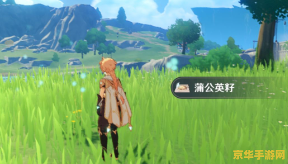 原神卖蒲公英籽的小女孩 原神：蒲公英之约——与小女孩的温馨邂逅