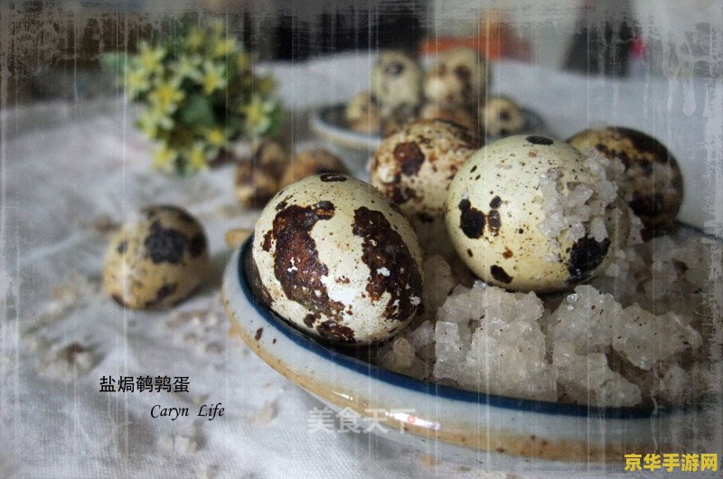 原神鸟蛋食谱 原神中的鸟蛋料理：探索美味与冒险的交织