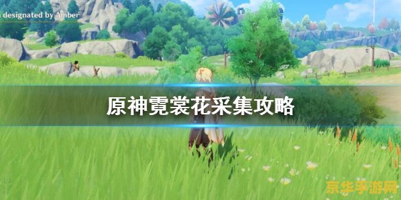 原神如何在璃月港找到霓裳花 在璃月港寻找霓裳花：原神中的珍贵资源探索