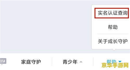 微信王者荣耀实名怎么查询 微信王者荣耀实名认证信息查询指南