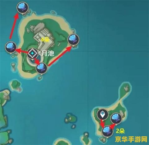 海灵芝原神总共 原神中海灵芝的全面解析