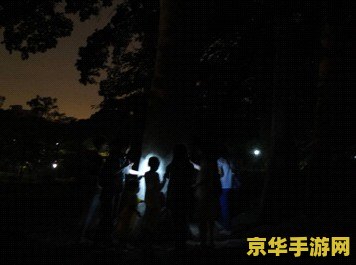 深秘院 原神 深秘院探秘：原神中的古老智慧与未知挑战