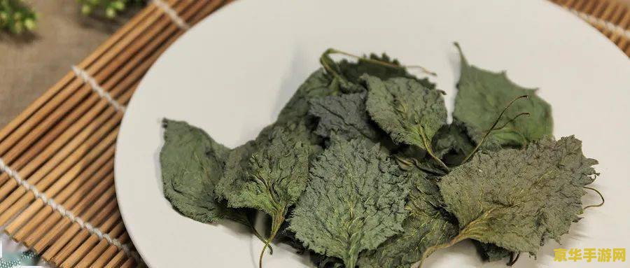 原神祭鸣草 原神中的神秘草药：祭鸣草的奥秘探索