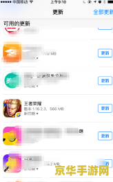 苹果手机打王者荣耀怎么设置操作 苹果手机打王者荣耀操作设置指南
