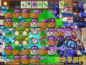 植物大战僵尸2礼包 植物大战僵尸2：尊享礼包大放送