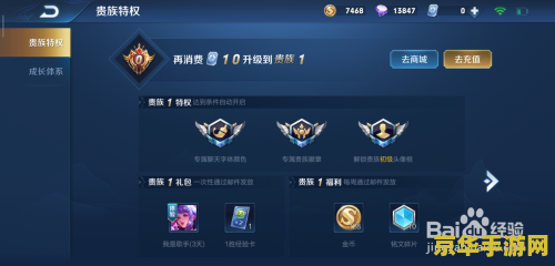王者荣耀怎么查询贵族等级 王者荣耀如何查询贵族等级