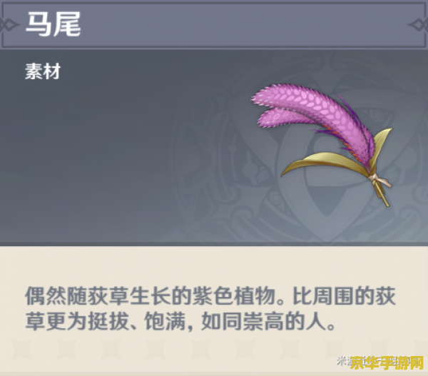 原神中的马尾在哪里 原神中的马尾采集指南