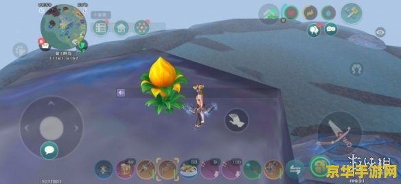创造与魔法夕阳花位置 创造与魔法夕阳花位置全解析