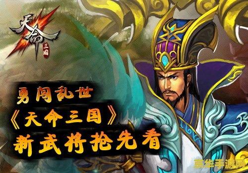 三国志12新武将 三国志12新武将：重塑历史风云的豪杰