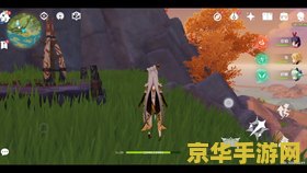 原神琼玑野岩神像有什么限制吗 原神琼玑野岩神像的限制与探索