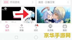 原神pc端为什么那么大 原神PC端为何体积庞大？深度解析其背后的技术奥秘