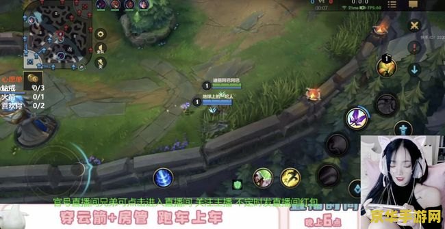 英雄联盟黑切属性详解 英雄联盟黑切属性详解