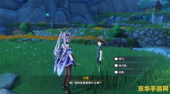 原神是联机版吗 原神：深度解析其联机特性与游戏魅力