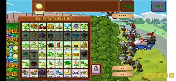 植物大战僵尸通关存档 植物大战僵尸通关存档深度解析