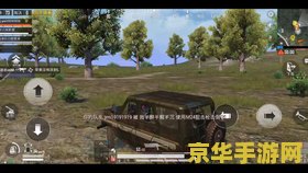 原神寻找带着小包可疑的人士 原神：追踪小包之谜，揭秘可疑人物身份