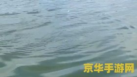 原神钓鱼好难钓 &lt;h3&gt;原神钓鱼挑战：技巧与乐趣并存的深度体验&lt;/h3&gt;