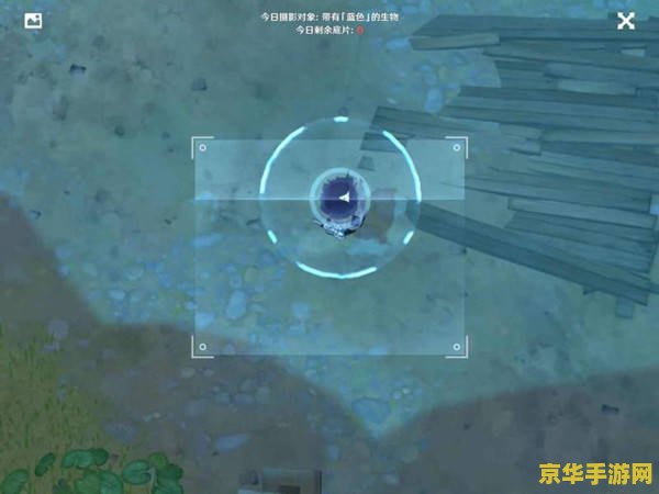 原神福至五彩蓝色怎么拍 原神福至五彩活动：捕捉蓝色之美的拍摄技巧