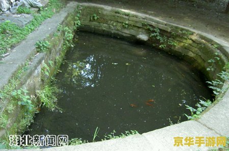 原神水月池电石排放 原神水月池电石排放攻略