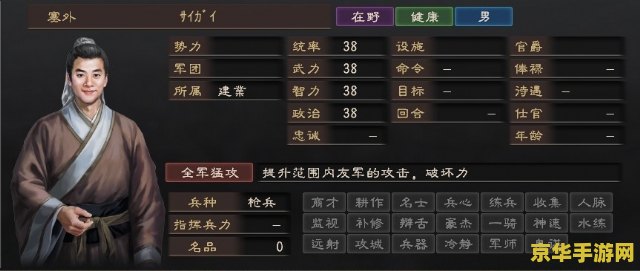 三国志12兵种 三国志12兵种深度解析：策略与战场的艺术