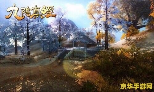 九阴真经鸡鸣驿 九阴真经：鸡鸣驿风云再起