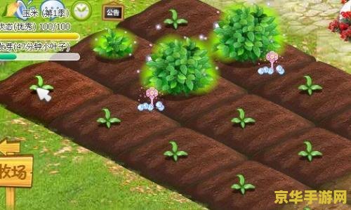 qq农场路易十四 QQ农场中的贵族之选：路易十四的庄园盛宴