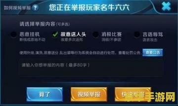 王者荣耀怎么退出举报 王者荣耀：如何取消或管理举报功能