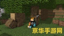 我的世界 2012 电影 我的世界：奇幻纪元