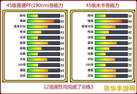 街头篮球米卡能力 街头篮球米卡能力深度解析