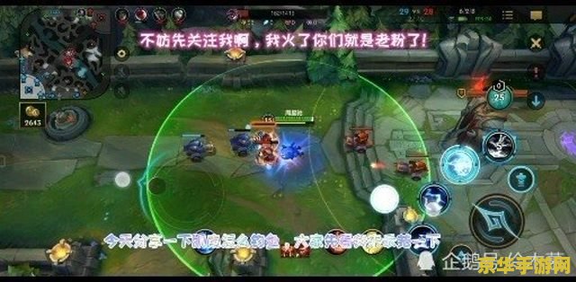 英雄联盟凯南什么位置 英雄联盟凯南的位置选择与分析
