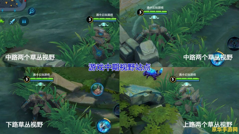 王者荣耀视野怎么占 王者荣耀视野占领策略