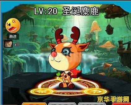 勇士的信仰宠物 勇士的信仰：宠物伙伴的力量与陪伴