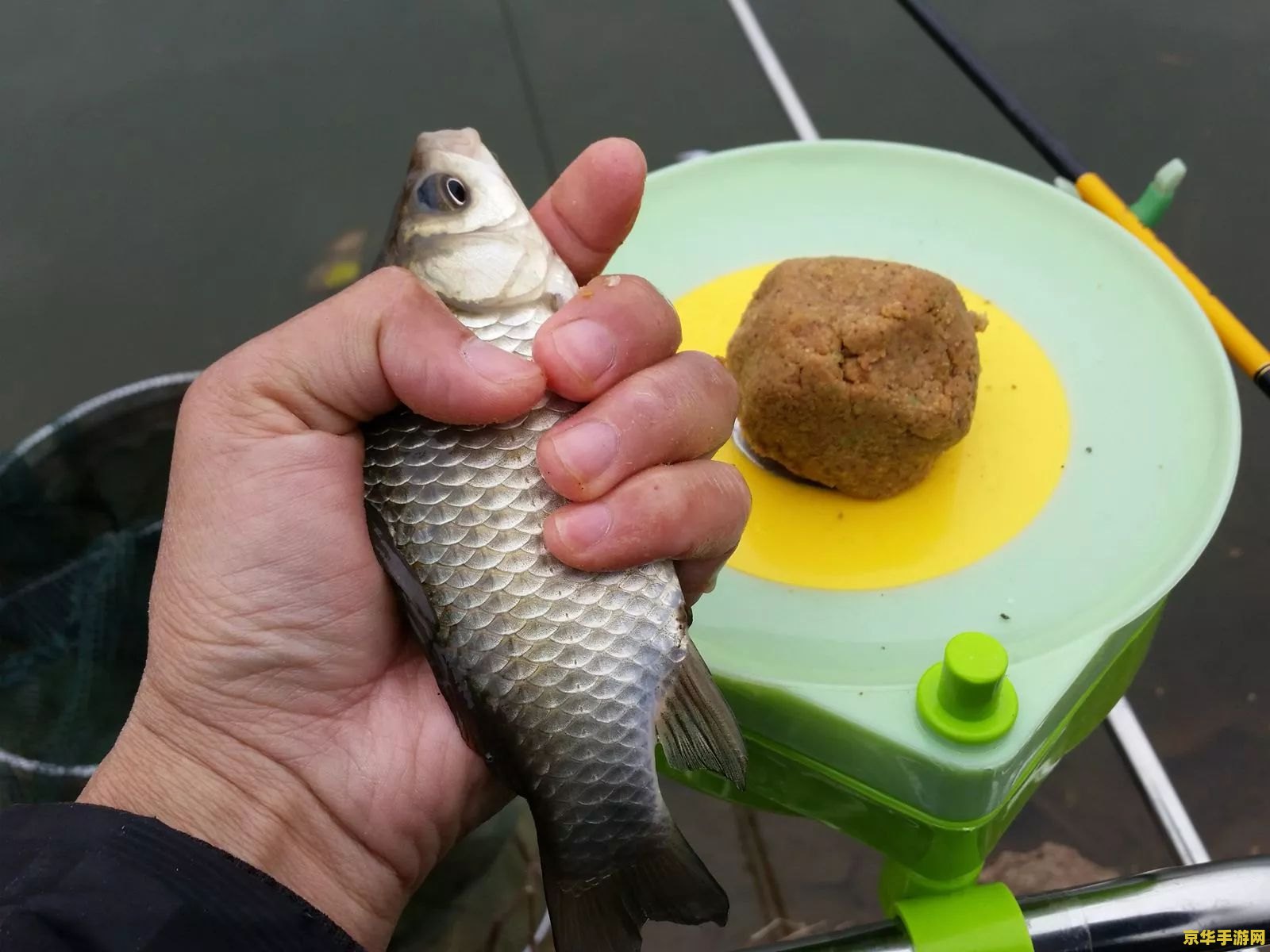 原神中鱼饵都适合哪些鱼 原神中鱼饵与鱼类的匹配奥秘