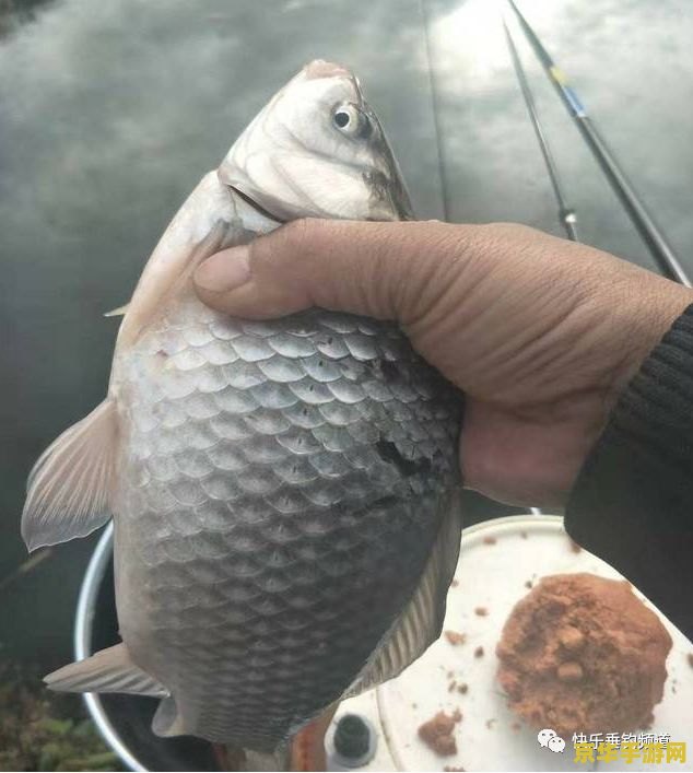 原神中鱼饵都适合哪些鱼 原神中鱼饵与鱼类的匹配奥秘