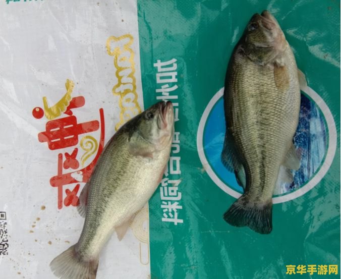 原神中鱼饵都适合哪些鱼 原神中鱼饵与鱼类的匹配奥秘
