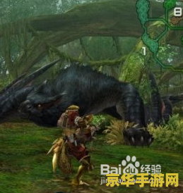 ps2怪物猎人2金手指 PS2怪物猎人2金手指秘籍全解析