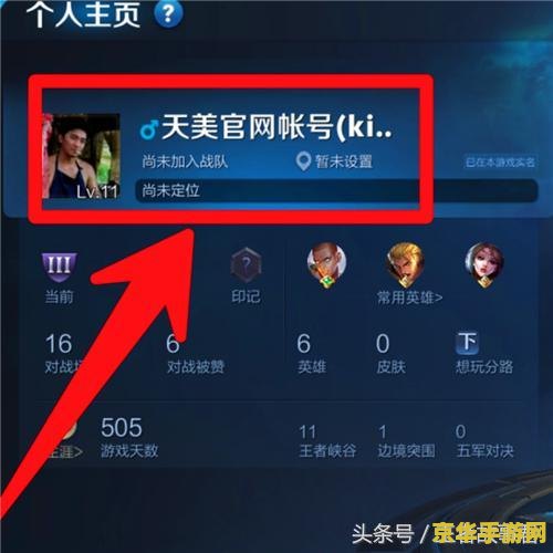 怎么让王者荣耀贵族消失 如何有效管理王者荣耀贵族身份，享受纯粹游戏乐趣