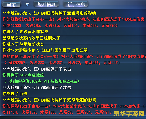 天下3魍魉怎么加点 天下3魍魉属性与技能加点策略