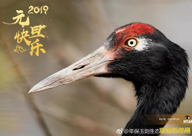 原神生物质禽鸟 原神中的生态奇观：探索生物质禽鸟的世界