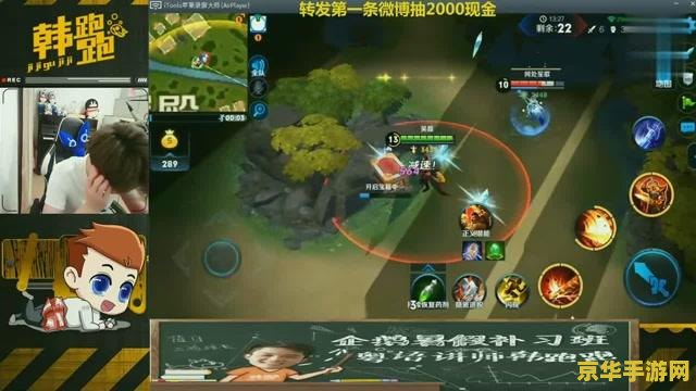王者荣耀吸血血量怎么显示 王者荣耀吸血血量显示设置指南