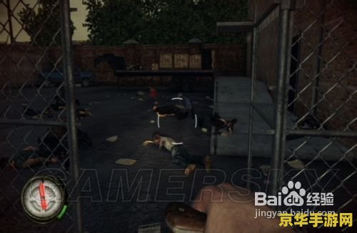 行尸走肉攻略 行尸走肉：生存与抉择的终极指南