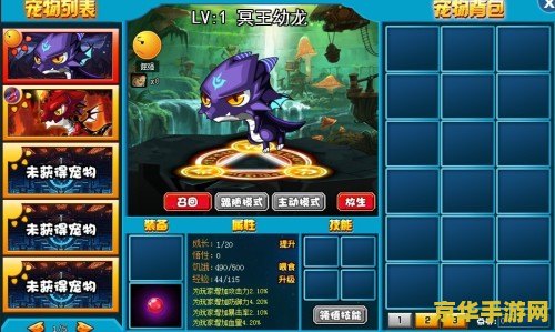 勇士的信仰 勇士的信仰：荣耀之路与信念之光