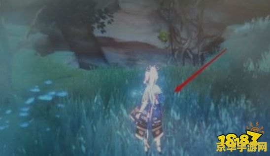 原神神里屋外的滩涂地 原神：探索神里屋外的隐秘滩涂地