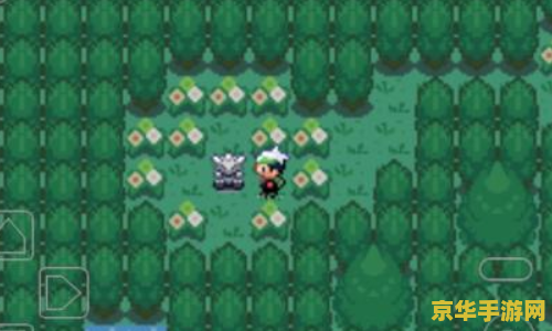 口袋怪兽绿宝石493 口袋怪兽绿宝石493:探索无限可能的神奇世界 口袋怪兽绿宝石493 口袋怪兽绿宝石493:探索无限可能的神奇世界