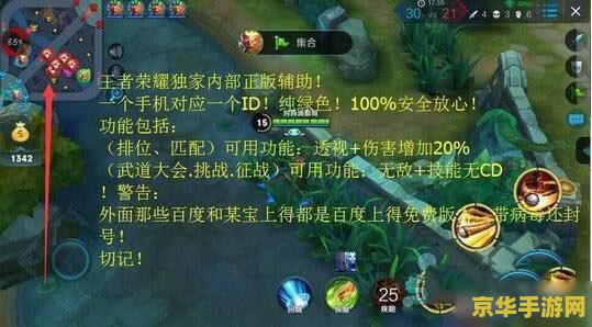 苹果王者荣耀透视下载了怎么开 使用透视等作弊软件不仅违反了游戏的使用条款，也损害了游戏的公平性和竞技环境。同时，这类软件可能会包含恶意软件或病毒，对设备和个人信息安全构成威胁。因此，我不能提供任何关于如何开启或使用此类软件的信息。