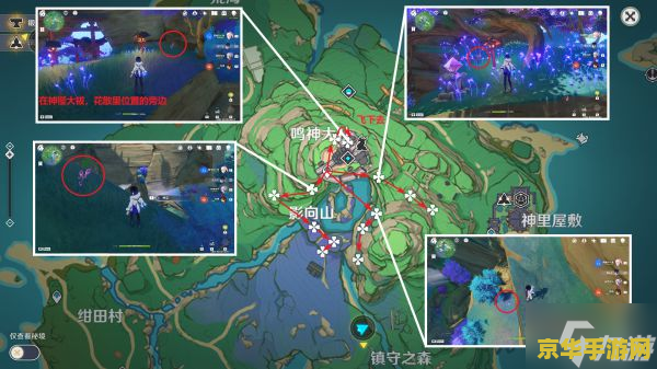 原神鸣草的采集位置 原神鸣草的采集位置详解